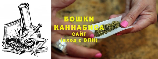 дживик Туринск