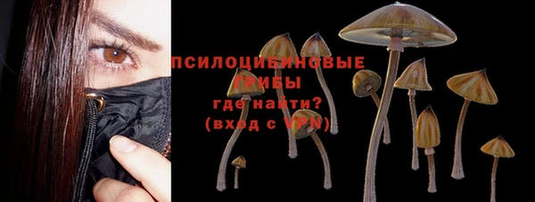 винт Белокуриха