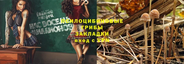 винт Белокуриха