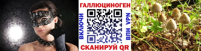 Галлюциногенные грибы прущие грибы  Кузнецк 