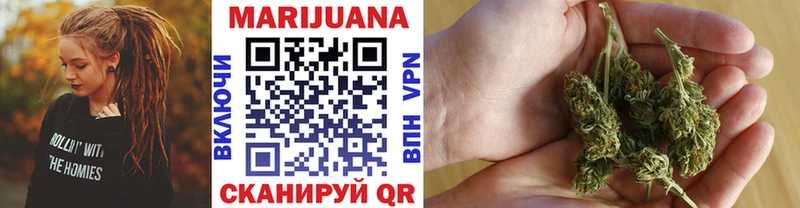 Конопля план  Кузнецк 
